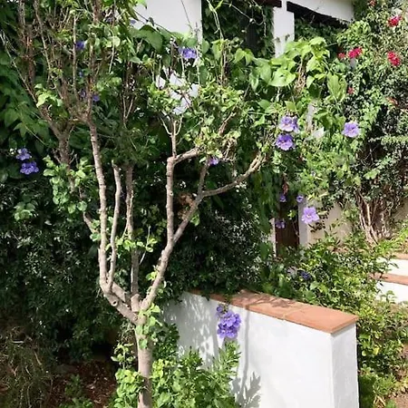Holiday home Alpujarra Garden Oasis